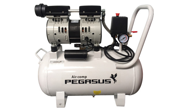 Máy nén khí mini không dầu pegasus