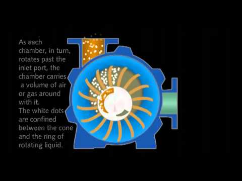 nguyên lý hoạt động của bơm hút chân không vòng nước